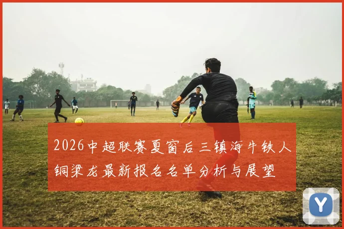 2026中超联赛夏窗后三镇海牛铁人铜梁龙最新报名名单分析与展望