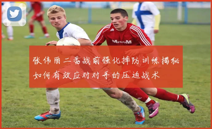 张伟丽二番战前强化摔防训练揭秘如何有效应对对手的压迫战术
