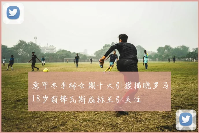 意甲冬季转会期十大引援揭晓罗马18岁前锋瓦斯成标王引关注